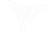 Lvx9 logo/return to home