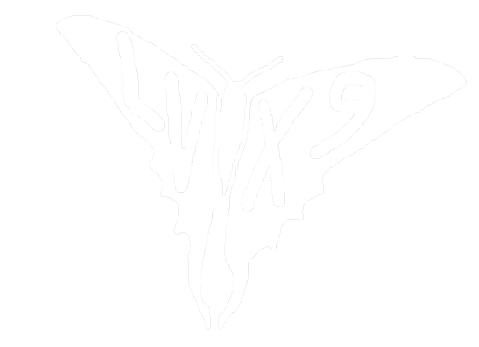 Lvx9 logo